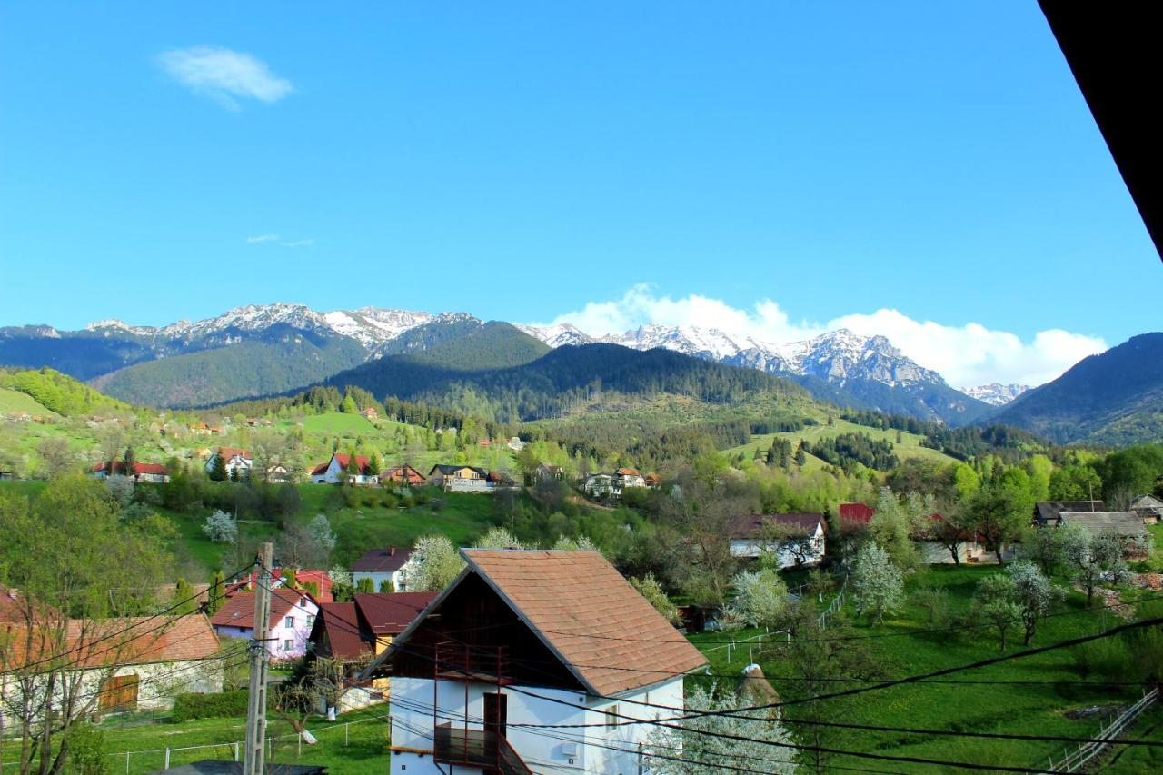 Milea'S Guesthouse Törcsvár Kültér fotó