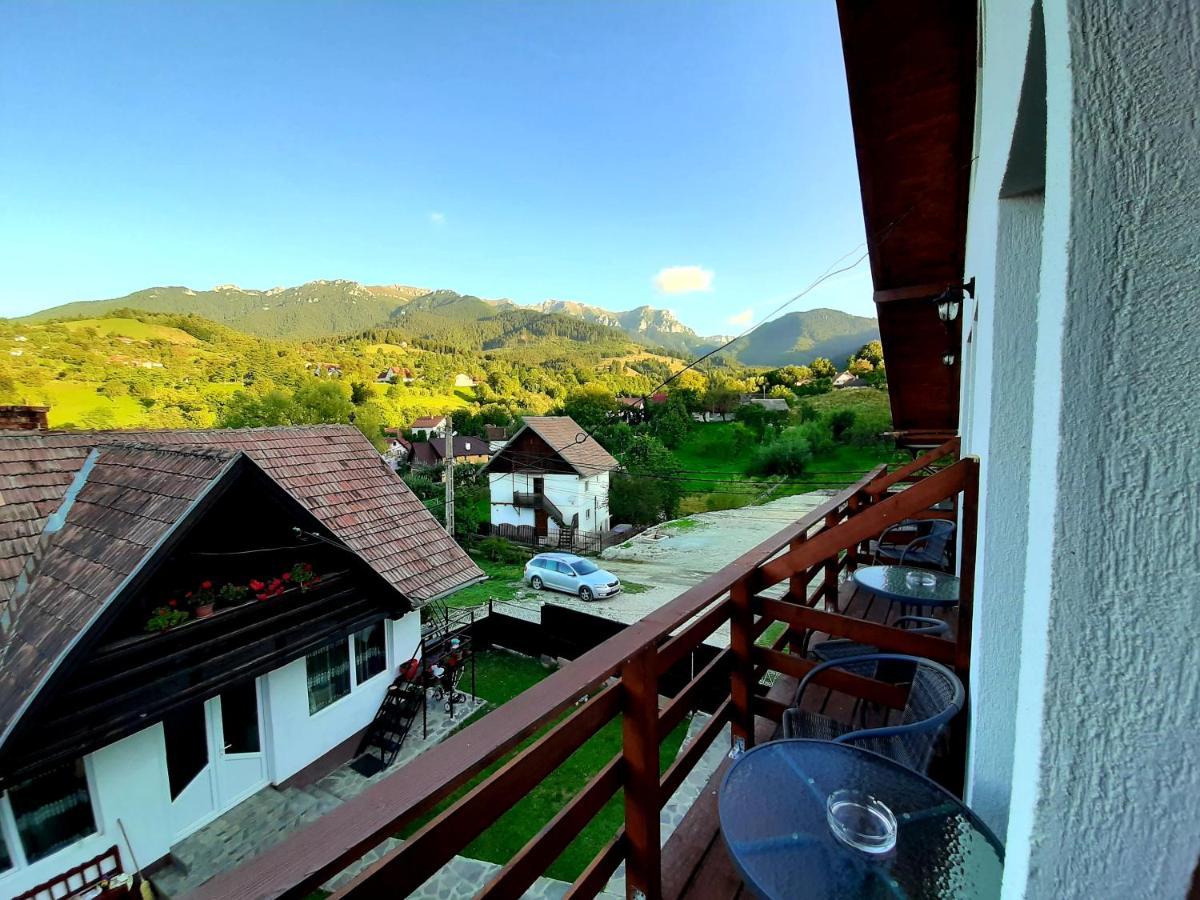Milea'S Guesthouse Törcsvár Kültér fotó