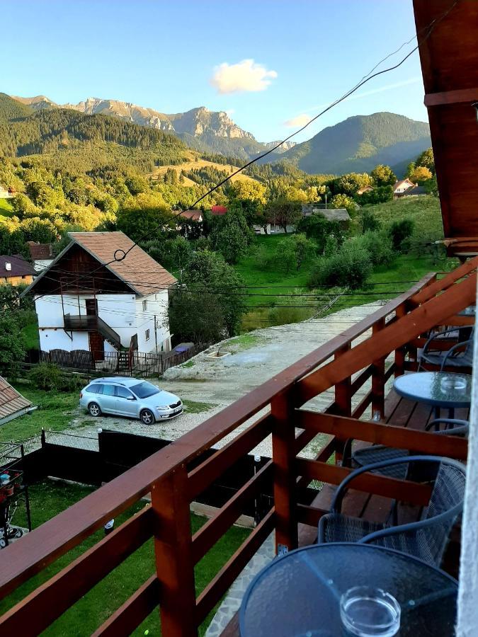 Milea'S Guesthouse Törcsvár Kültér fotó