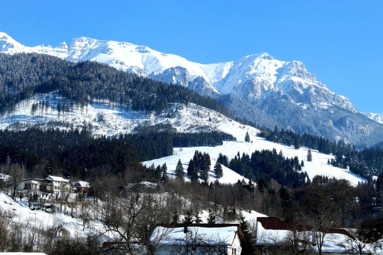 Milea'S Guesthouse Törcsvár Kültér fotó
