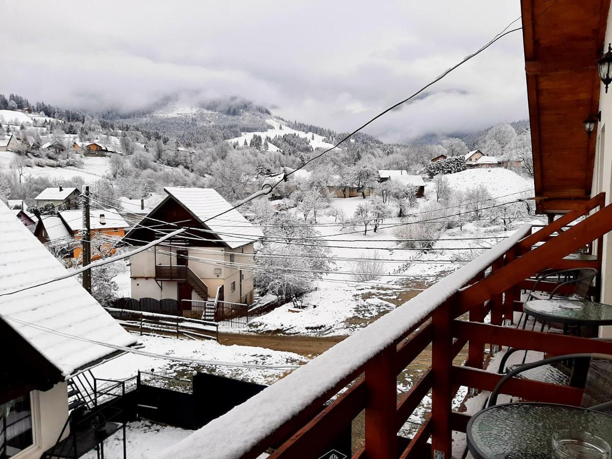 Milea'S Guesthouse Törcsvár Kültér fotó