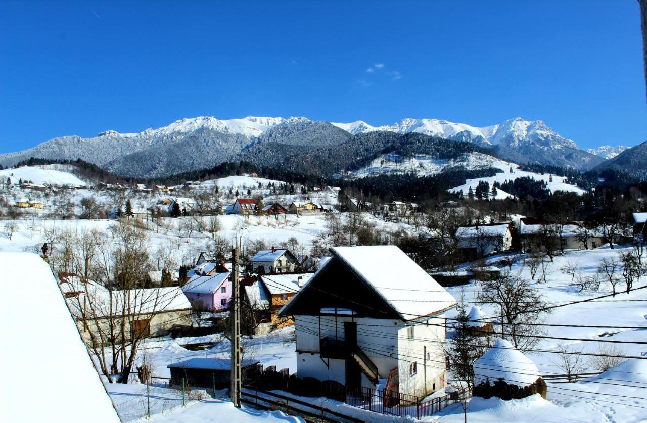 Milea'S Guesthouse Törcsvár Kültér fotó