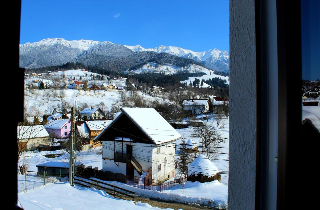 Milea'S Guesthouse Törcsvár Kültér fotó