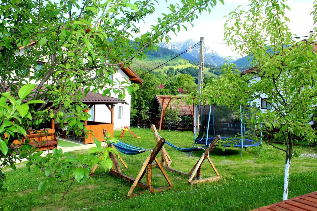 Milea'S Guesthouse Törcsvár Kültér fotó